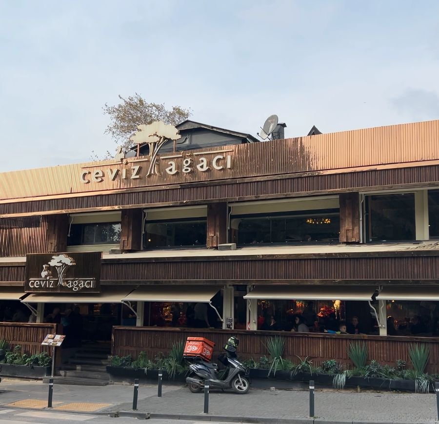 6 Cevizagaci Istanbul Kozyatagi